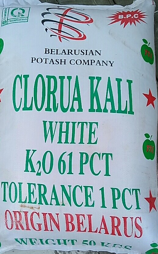 Potassium Chloride – KCl