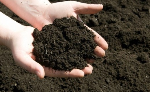 Fertilizer Production Materials
