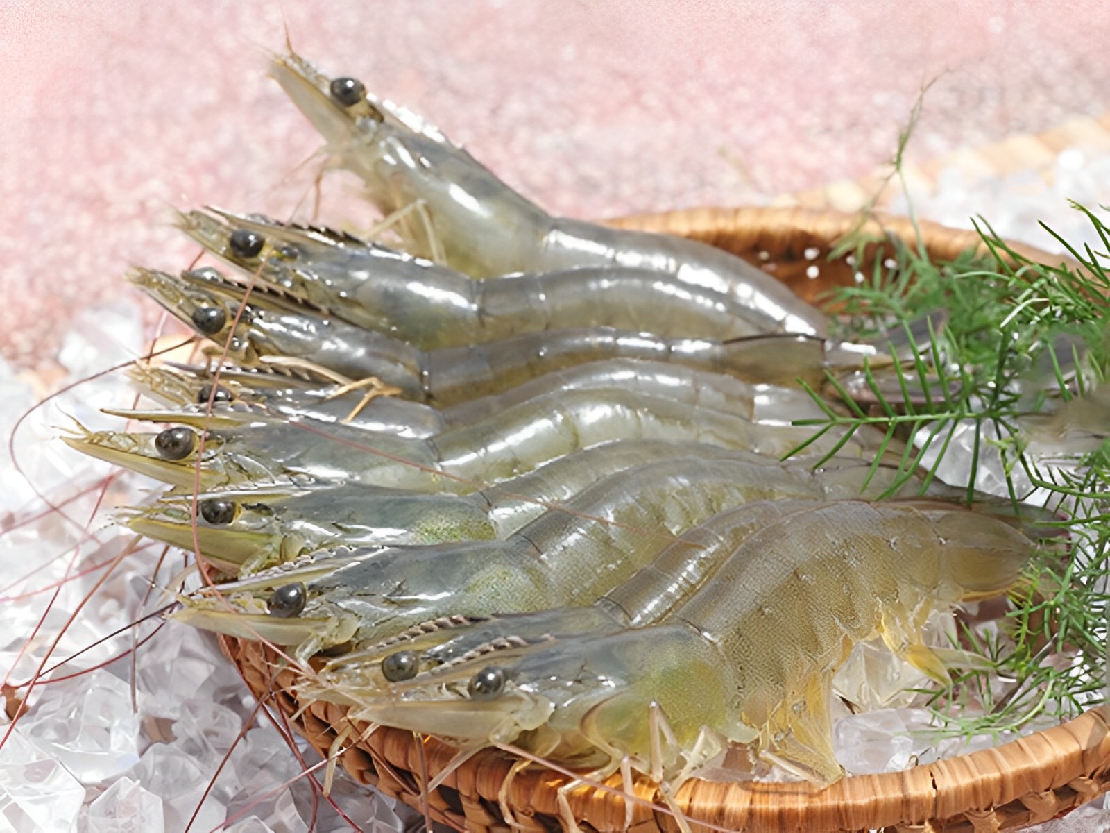 Aquaculture raw materials